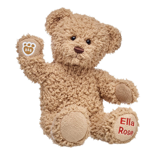 Embroidered Teddy Bear | Online Exclusive Gift | Shop at Build-A-Bear® - US 7474