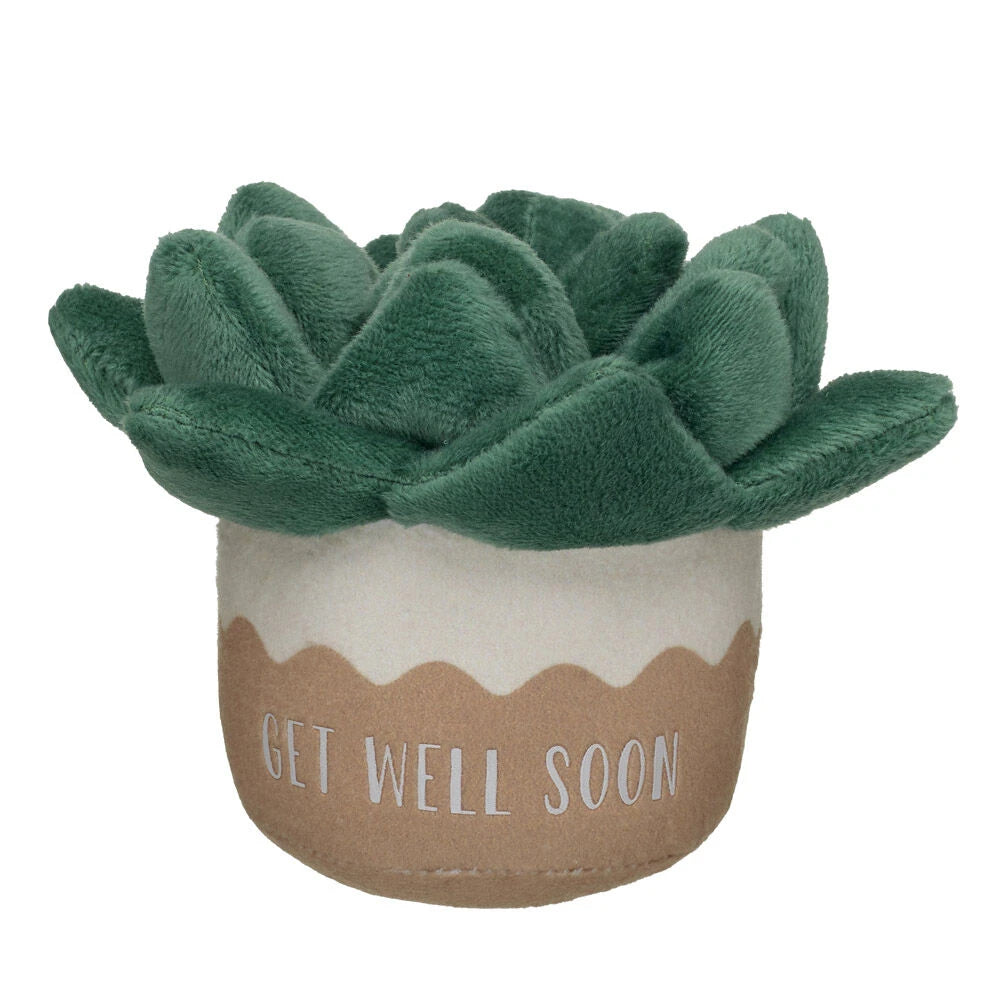 HB GET WELL PLANT - US 9716