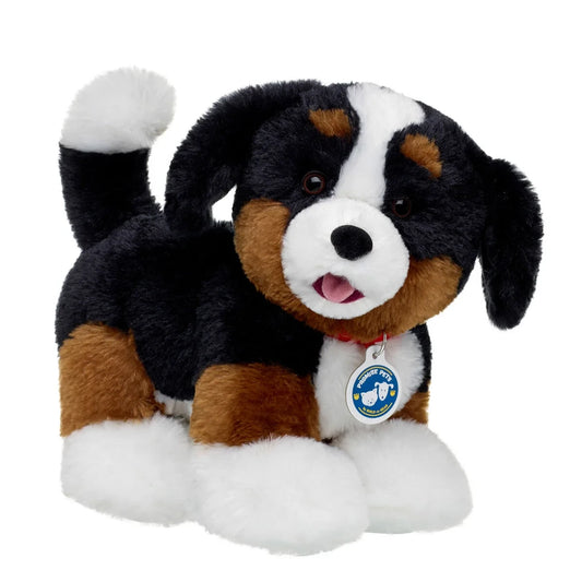 Promise Pets Bernese Mountain Dog Stuffed Animal Mini Beans Gift Set | Build-A-Bear - US 3940