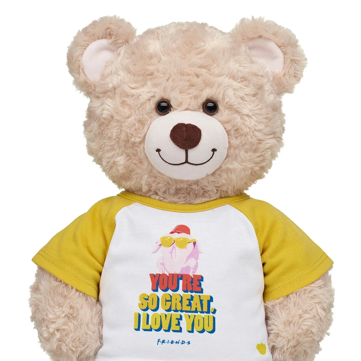 FRIENDS TV Show Turkey T-Shirt for Stuffed Animals | Build-A-Bear® - US 0423