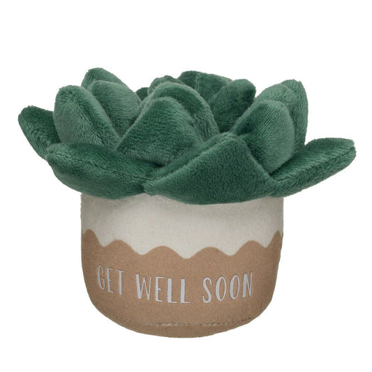 HB GET WELL PLANT - US 7739