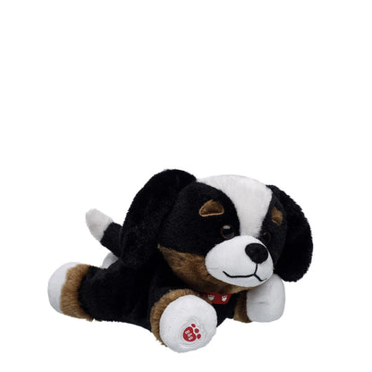Promise Pets Bernese Mountain Dog Stuffed Animal Mini Beans Gift Set | Build-A-Bear - US 5308