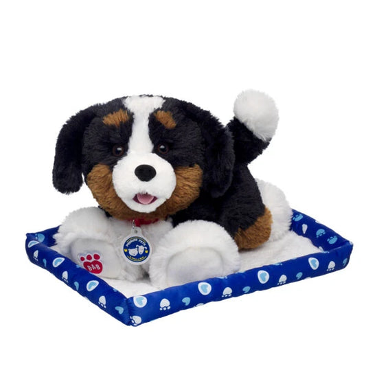 Promise Pets Bernese Mountain Dog Stuffed Animal w/ Blue Bed | Build-A-Bear - US 4346