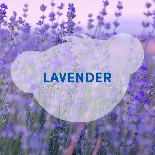 SCENTiments™ Lavender Scent for Stuffed Animals | Build-A-Bear® - US 0415