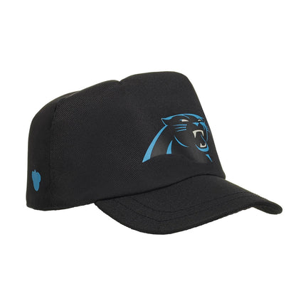 Carolina Panthers Timeless Teddy Bear Football Gift Set - US 0794