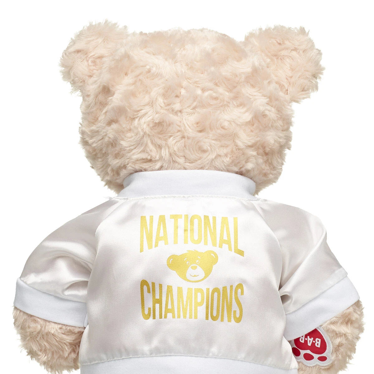 Varsity Spirit National Champions Jacket | Build-A-Bear® - US 2502