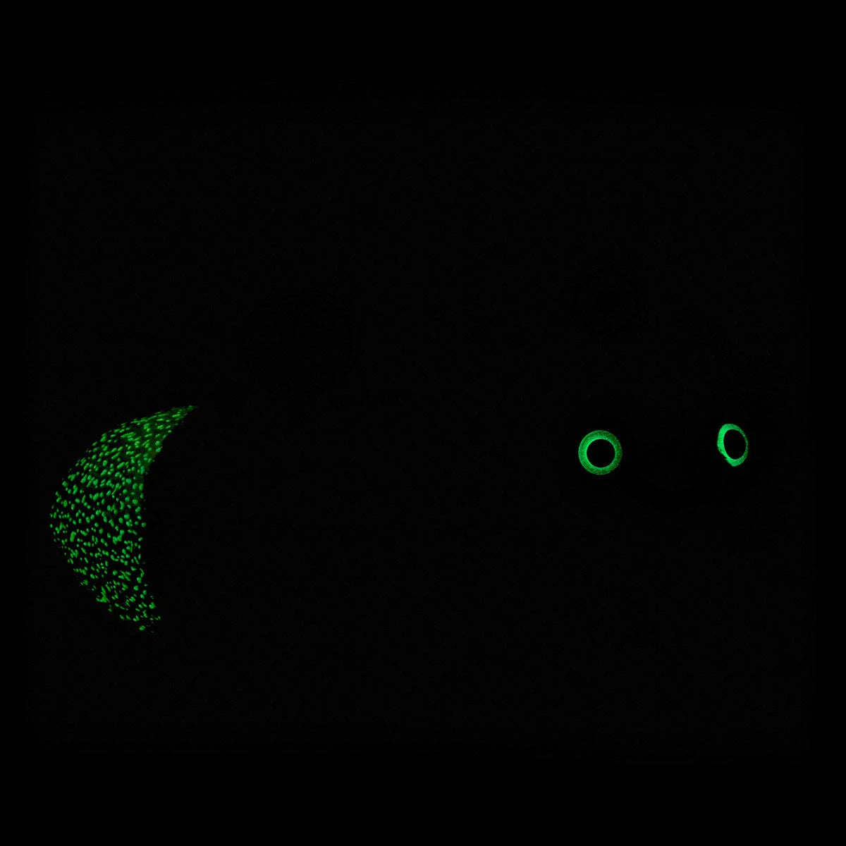 Glow-in-the-Dark Lightning Bug Stuffed Animal | BAB - US 7531