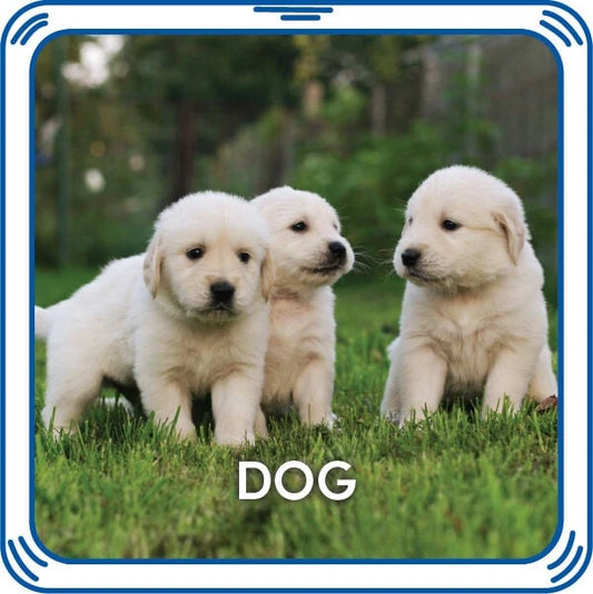 Puppy 5-in-1 Sound for Stuffed Animals | Build-A-Bear® - US 4835