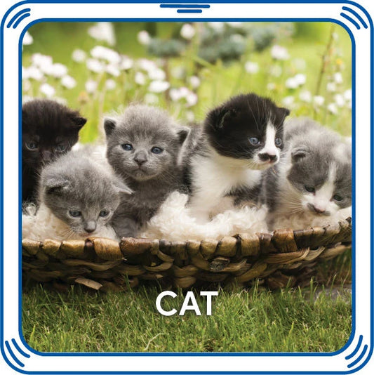 Kitty 5-in-1 Sound for Stuffed Animals | Build-A-Bear® - US 2716